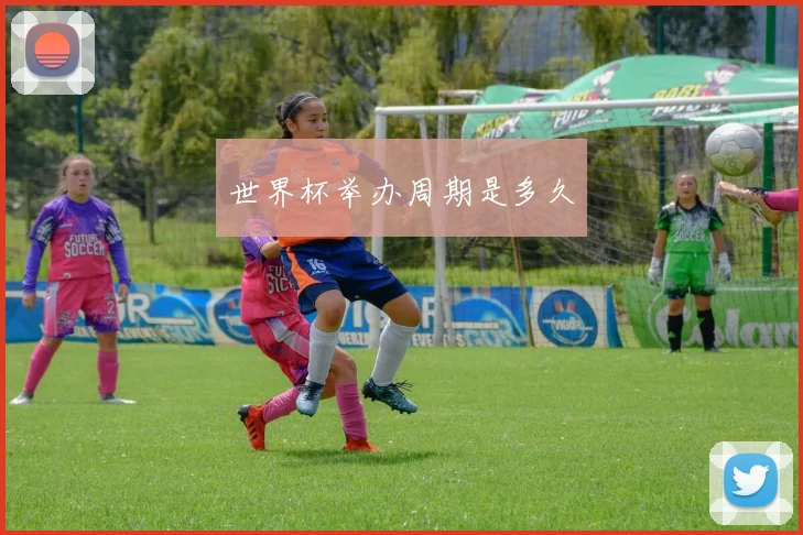世界杯举办周期是多久