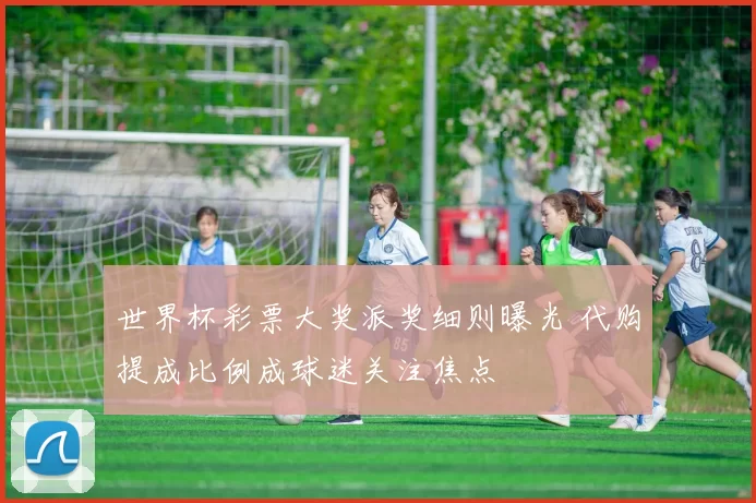 世界杯彩票大奖派奖细则曝光 代购提成比例成球迷关注焦点