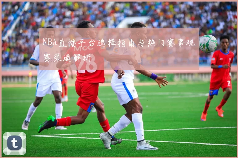 NBA直播平台选择指南与热门赛事观赛渠道解析