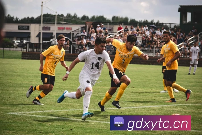 多媒体互动体验